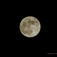 Луна 2 :: Константин Сафронов