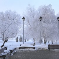 Зимнее утро :: Vladimir Borisov