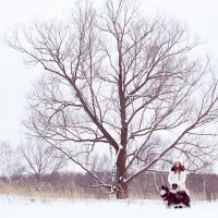 Зимняя прогулка :: Светлана Торгашева