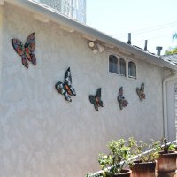 Бабочки в доме :: Николай Танаев