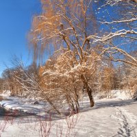 Willson&#39;s Woods Park, NYC :: Vadim Raskin