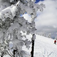 Лыжными трассами Шерегеша :: Александр Рейтер