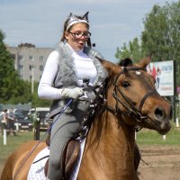 Моя любовь - лошади! :: Дмитрий Пислигин