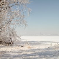 на Волге утром :: Андрей ЕВСЕЕВ