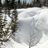 "...море снега  на двоих.." :: Александр Рейтер