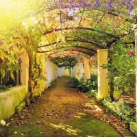 Солнечный сад :: Vita Painter