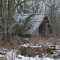 Погребок :: Василий Хорошев