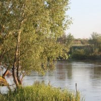 река Омь :: сергеи шаманин
