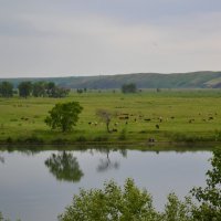 Раздолье. :: Александр Фоткин