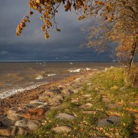 Ещё одна осень. :: Михаил Колесов