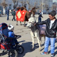 Ослик в городе :: Анатолий Уткин