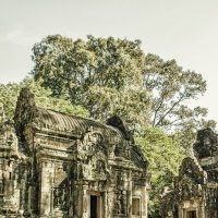 Ангкор :: Надежда Шемякина