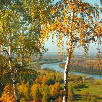 Осень в пойме Иркута :: Николай Морский 