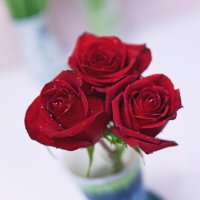 Три красные розы :: Татьяна Губина