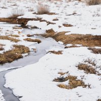 На окраине села :: Андрей Липов