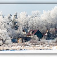 На берегу р.Клязьма :: Олег Каплун