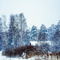 Зимний снегопад :: Иван Моняков