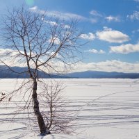 Река Енисей. Замерзшее водохранилище. :: Владимир Веселов