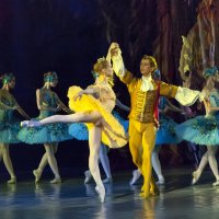 Сцена из балета "Спящая  Красавица" :: Владимир Максимов