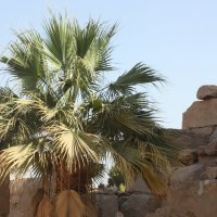 Люксор древняя столица Египта :: сергеи шаманин