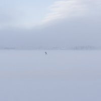 Зима. :: Андрей Боталов