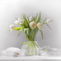 Натюрморт с белыми тюльпанами :: Светлана Л.