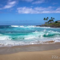 North Shore Oahu :: Vita Farrar
