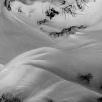 Картинки на снегу, нарисованные ветром :: Елена Перевозникова