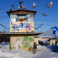 Полетели, папа ждет :) :: Роман Мещеряков