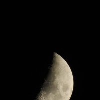 Луна, сегодня 25.03.15 :: Николай ntv