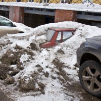 Городские подснежники. :: Андрей Синицын