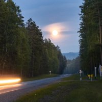 Лунная дорога :: Марина Бойко