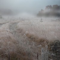Дорога в туман :: TATI MALININA