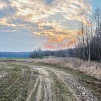 Весенняя  дорога. :: Валера39 Василевский.