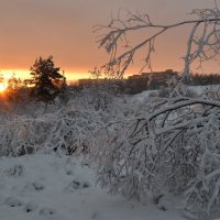 ** :: Валентина 