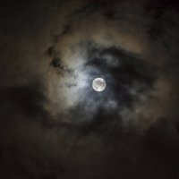 Лунная ночь :: Илья Зускович