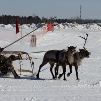 финиш... :: Галина !!!!