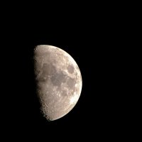 Луна 28.03.15 :: Николай ntv