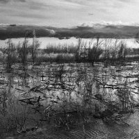 Водохранилище. :: Беспечный Ездок