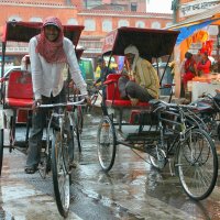 Джайпур, дождь, велорикши. :: Александр Бычков