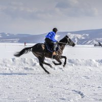 Новоселово - 2015 :: Sergey Yatmasov