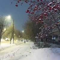 Снежный октябрь :: Валентин Котляров