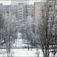 После снегопада :: Самохвалова Зинаида 