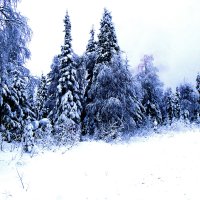 Зима :: petyxov петухов