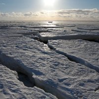 Северодвинск. Весна. Белое море. Льдины :: Владимир Шибинский