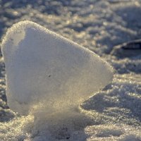Снежный грибочек :: Елена Баландина