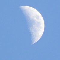 "Долька" от Луны :: Олеся Енина