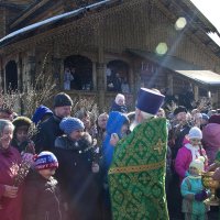 С вербным воскресеньем! :: Марина Тверитнева