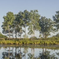 Чертова пляса :: Эдуард Малец