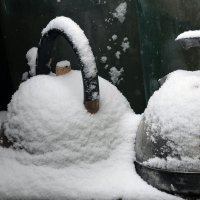 Чайники... на снегу! :: Валентина  Нефёдова 